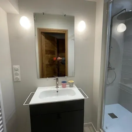 Grand 5 Pièces Pour 8 Personnes Avec Parking à - Fr-1-676-220 Châtel